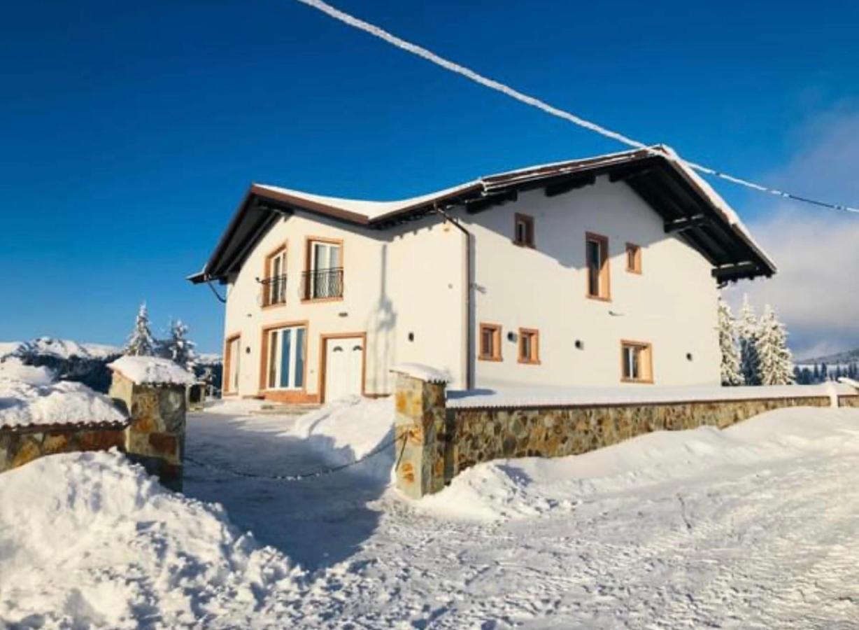 Pensiunea Mandruleanu Hotel Borsa  Exterior photo